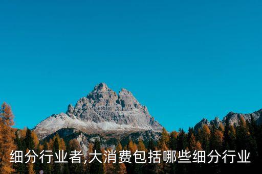 细分行业者,大消费包括哪些细分行业