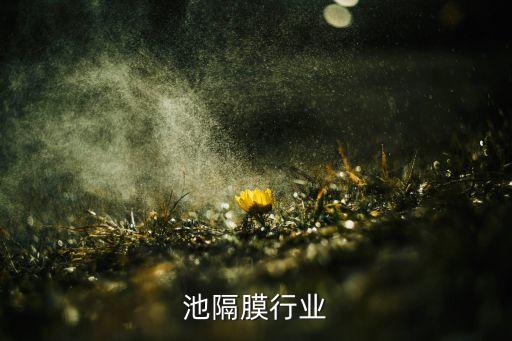 锂电池隔膜行业