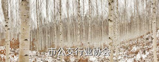 上海市公交行业协会
