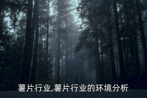 中国薯片行业,薯片行业的环境分析