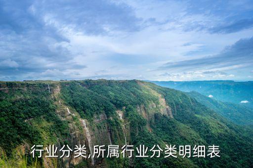 行业分类,所属行业分类明细表