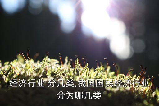 经济行业 分几类,我国国民经济行业分为哪几类