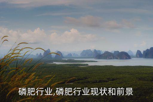 磷肥行业,磷肥行业现状和前景
