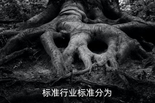 标准行业标准分为
