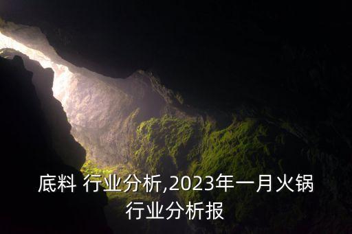 底料 行业分析,2023年一月火锅行业分析报