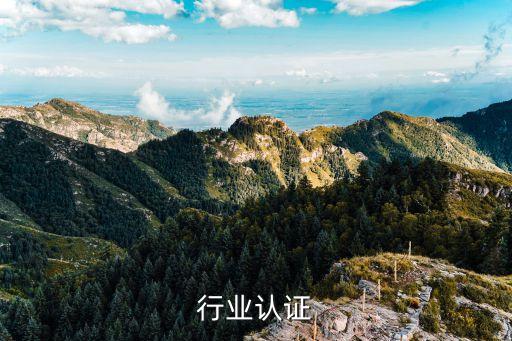 行业认证