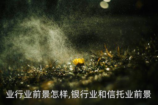 业行业前景怎样,银行业和信托业前景