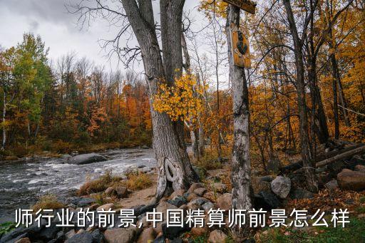 师行业的前景,中国精算师前景怎么样