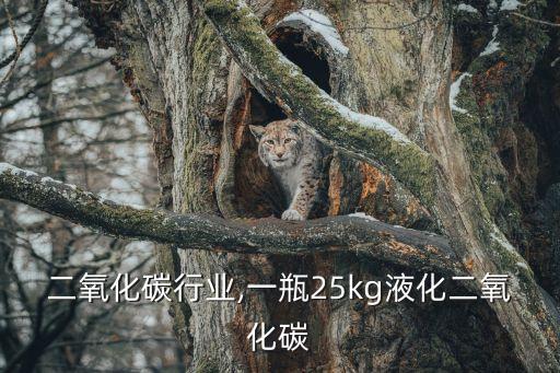 二氧化碳行业,一瓶25kg液化二氧化碳