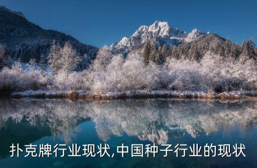 扑克牌行业现状,中国种子行业的现状