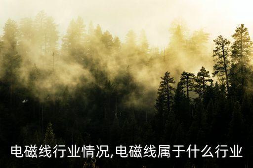 电磁线行业情况,电磁线属于什么行业