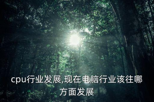 cpu行业发展,现在电脑行业该往哪方面发展