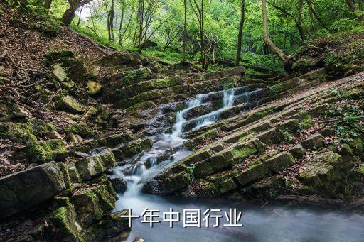 十年中国行业