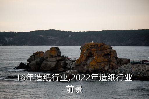 2016年造纸行业,2022年造纸行业前景