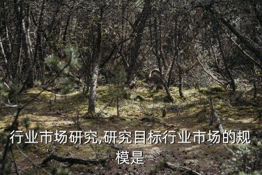 养护行业市场研究,研究目标行业市场的规模是