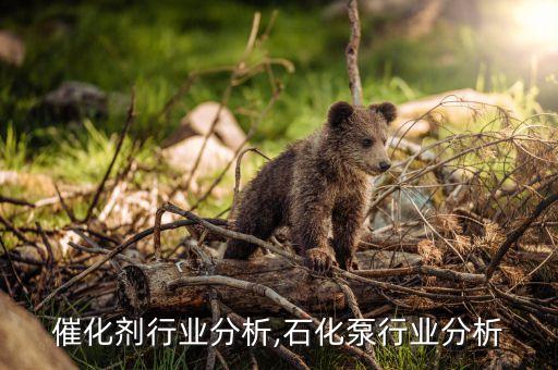催化剂行业分析,石化泵行业分析