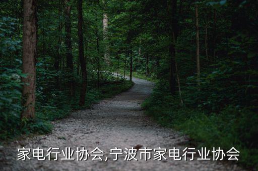 山东家电行业协会,宁波市家电行业协会