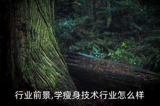 瘦身行业前景,学瘦身技术行业怎么样