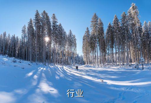 行业