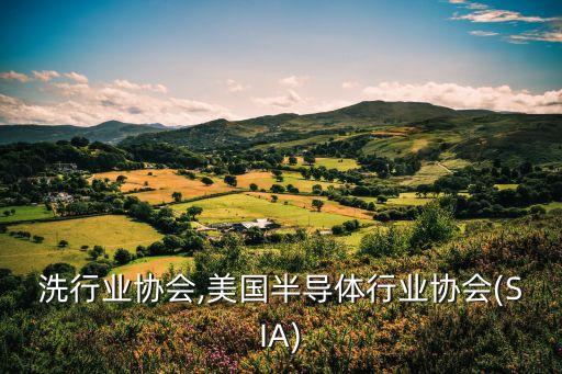 洗行业协会,美国半导体行业协会(SIA)