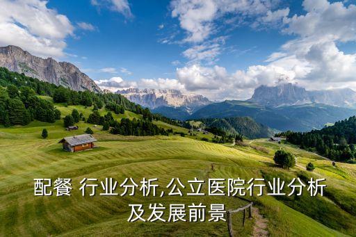  配餐 行业分析,公立医院行业分析及发展前景