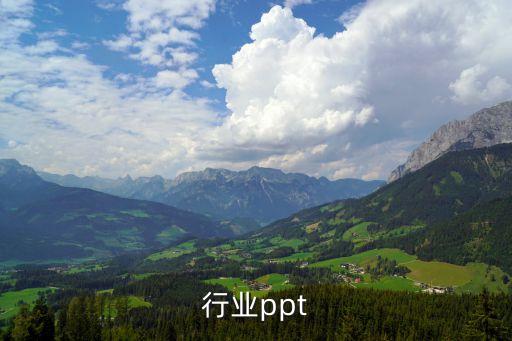 软件行业ppt
