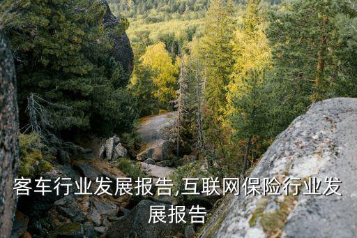 客车行业发展报告,互联网保险行业发展报告