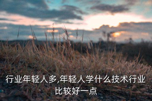 什么行业年轻人多,年轻人学什么技术行业比较好一点