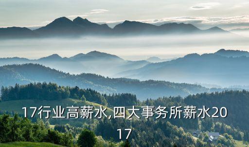 2017行业高薪水,四大事务所薪水2017