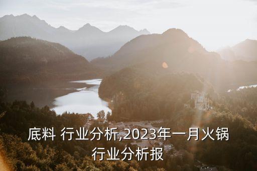 底料 行业分析,2023年一月火锅行业分析报