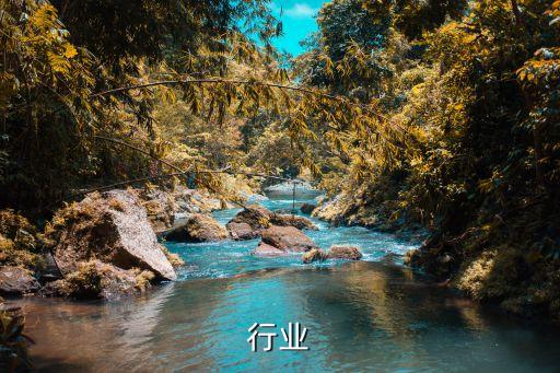 瓷器行业