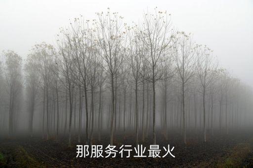 那服务行业最火
