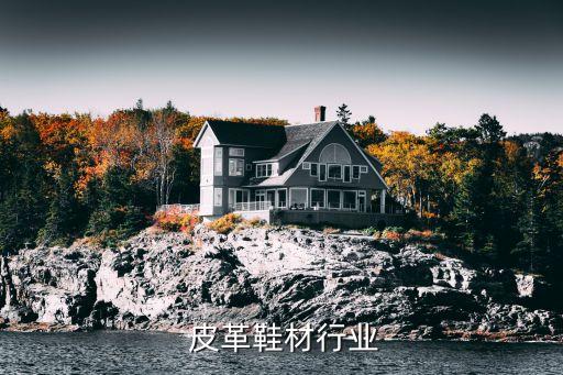  皮革鞋材行业