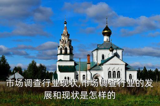 国内市场调查行业现状,市场调查行业的发展和现状是怎样的