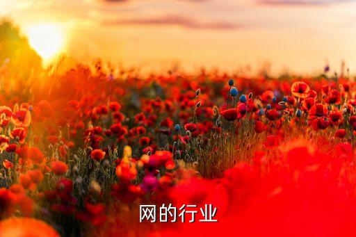 互联网的行业