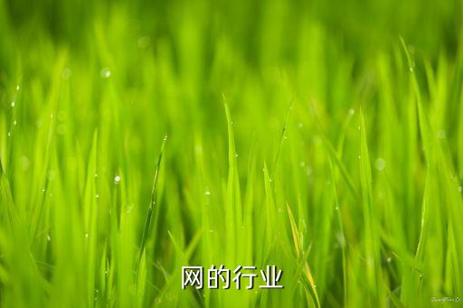 网的行业