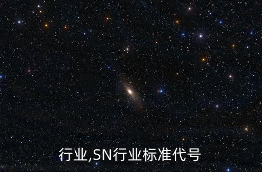sn行业,SN行业标准代号