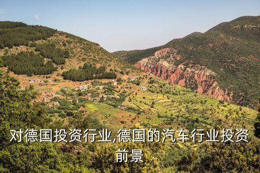 中国对德国投资行业,德国的汽车行业投资前景