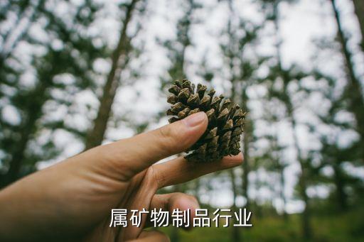 属矿物制品行业