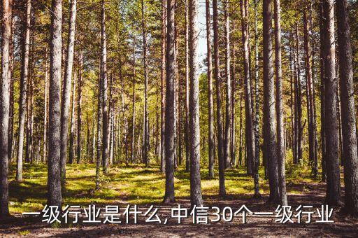 中信一级行业是什么,中信30个一级行业