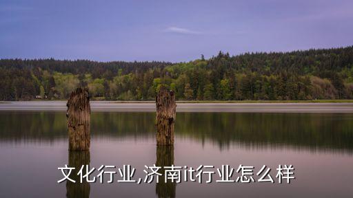 济南文化行业,济南it行业怎么样
