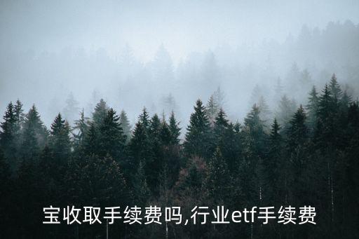 宝收取手续费吗,行业etf手续费