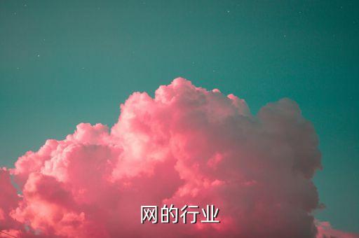 网的行业