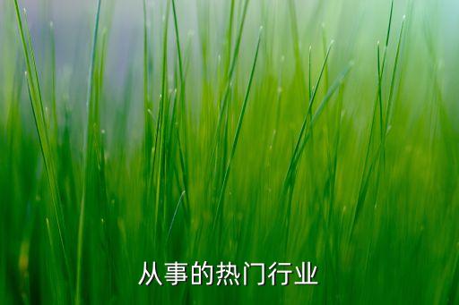 从事的热门行业
