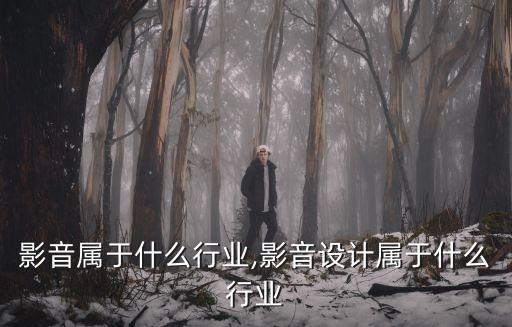 汽车影音属于什么行业,影音设计属于什么行业