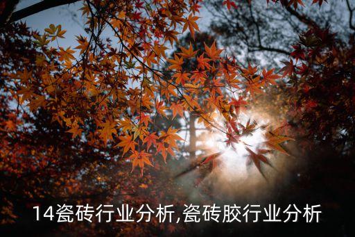 14瓷砖行业分析,瓷砖胶行业分析
