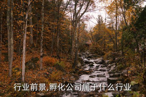 孵化行业前景,孵化公司属于什么行业
