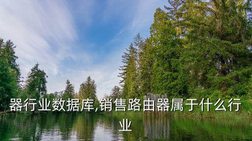 路由器行业数据库,销售路由器属于什么行业