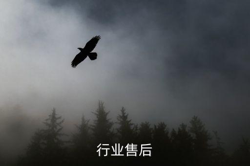 行业售后