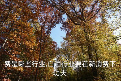 新消费是哪些行业,白酒行业要在新消费下功夫